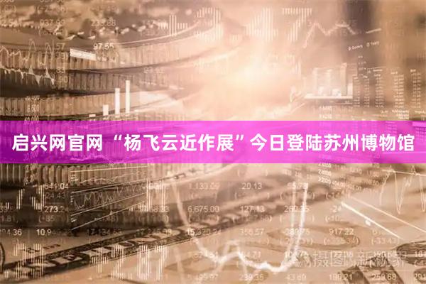 启兴网官网 “杨飞云近作展”今日登陆苏州博物馆