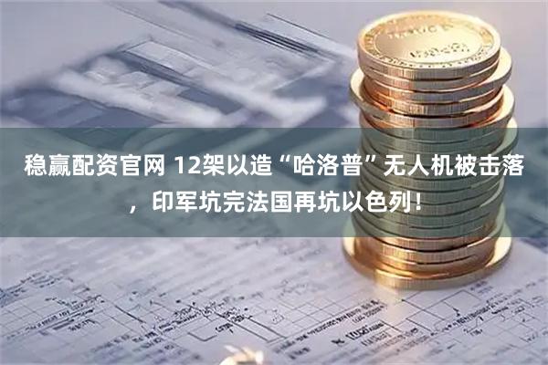 稳赢配资官网 12架以造“哈洛普”无人机被击落，印军坑完法国再坑以色列！
