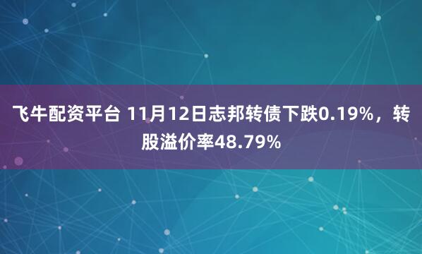 飞牛配资平台 11月12日志邦转债下跌0.19%，转股溢价率48.79%