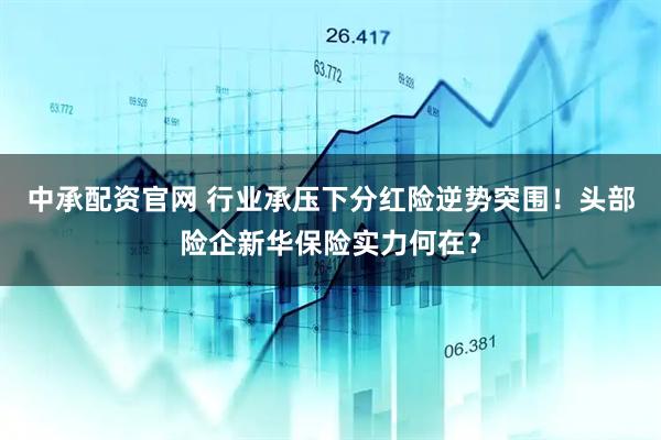 中承配资官网 行业承压下分红险逆势突围！头部险企新华保险实力何在？
