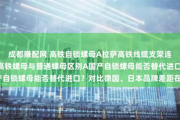 成都赚配网 高铁自锁螺母A拉萨高铁线缆支架连接使用高铁自锁螺母A高铁螺母与普通螺母区别A国产自锁螺母能否替代进口？对比德国、日本品牌差距在哪？